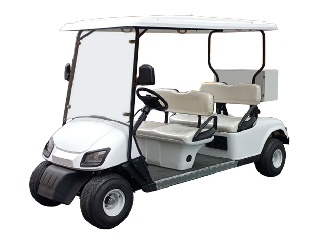 Hydrogen Fuel Cell Golf Cart